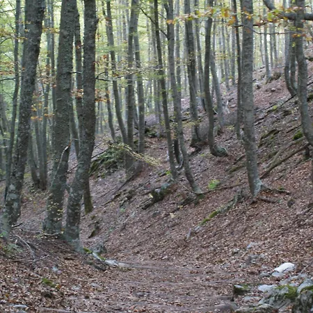 Rural Piedra Abierta 3*