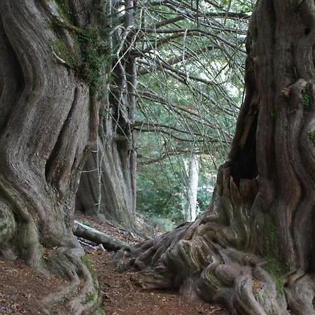 Rural Piedra Abierta 3*